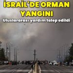 İsrail’de orman yangını | Dış Haberler