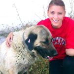 Sokak köpeklerini kurtardı, 105 bin TL ceza kesildi!